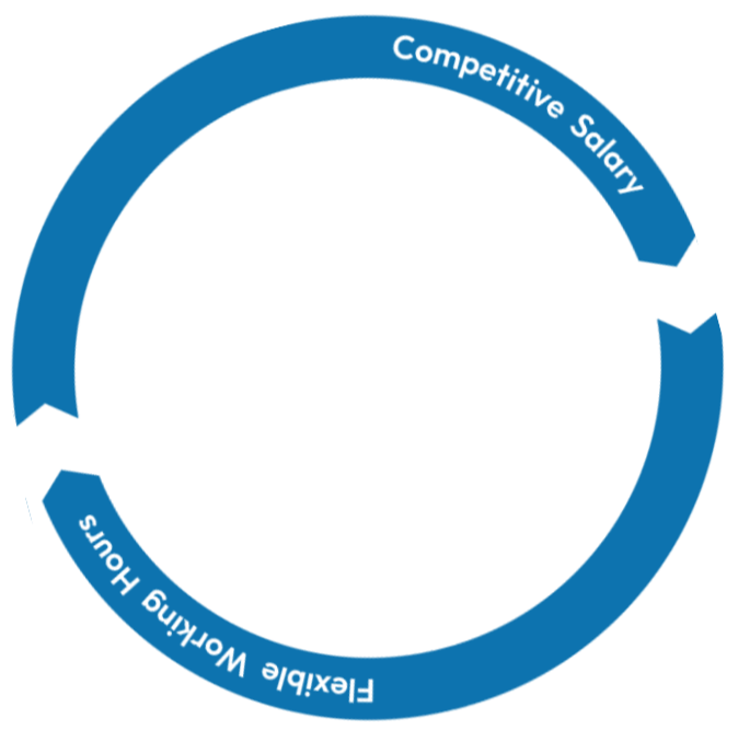 competitive salary round icon