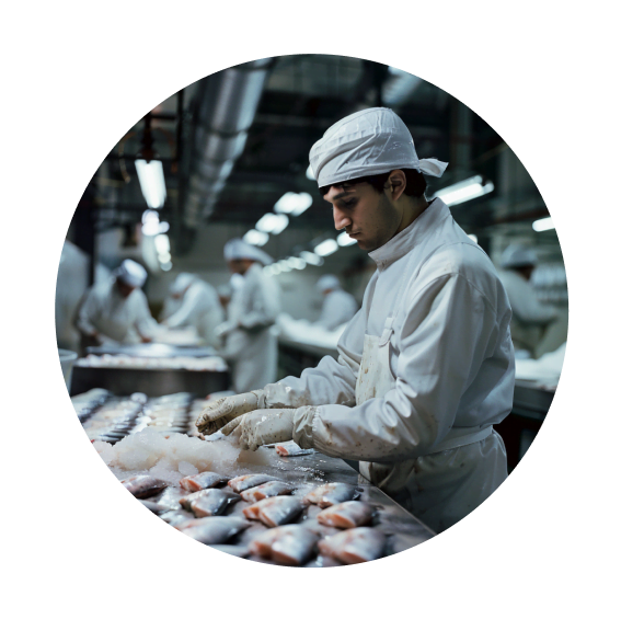 a person working in a food processing unit