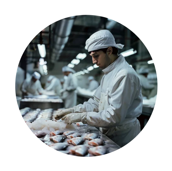 a person working in a food processing unit